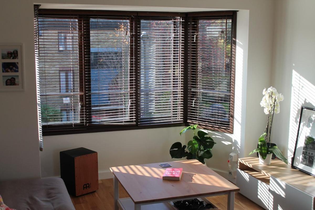 Remote Work Entire Flat 20min To Oxford St Londra